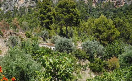 Majorca countryside voyage of discovery