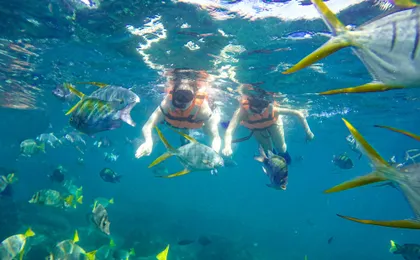 Land’s End Boat and Snorkelling Tour