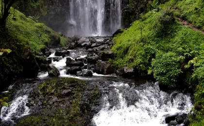 From Arusha: Materuni Village and Waterfall Day Tour