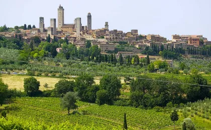 San Gimignano, Chianti and Montalcino Tour from Siena with Wine Tasting