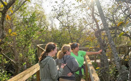 Everglades National Park nature walk & air boat ride