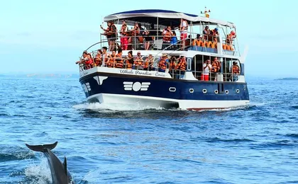 Mirissa Whale Watching Tour From Koggala