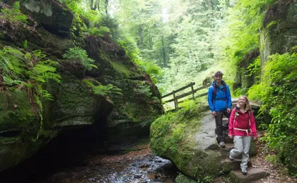 Full day nature and castle tour from Luxemburg City