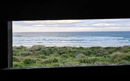 Penguin Habitat and Rehabilitation Centre Guided Tour in Dunedin