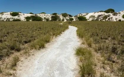 New Mexico tours bundle, self-guided drive and walk