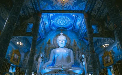 Chiang Rai White Temple and Hill Tribe Village tour from Chaing Mai