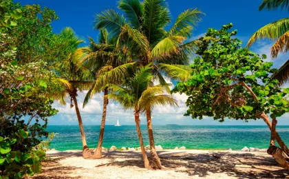 Key West day trip with glass bottom boat ride