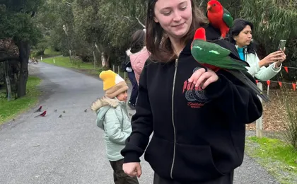 Great Ocean Road bus tour with a forest walk