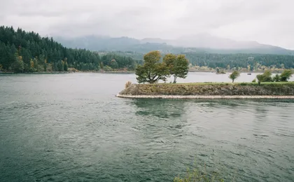 Afternoon half-day to Multnomah Falls and River Gorge Waterfalls
