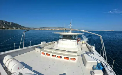 Boat Excursion and Anchoring in the Coves of Altea with Lunch