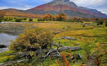 National Park Tierra del Fuego