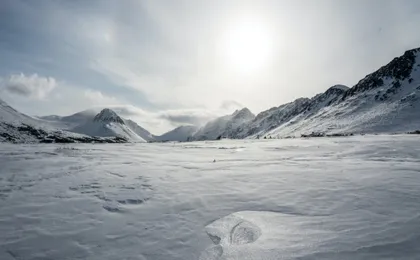 Advanced snowshoeing adventure in Anchorage