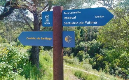 Bike tour to Conimbriga Roman Ruins from Coimbra
