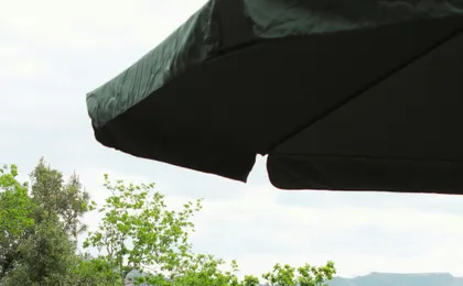 Vinho Verde vineyard and wine tasting experience