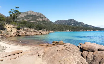 Wineglass Bay and Freycinet National Park Day Tour