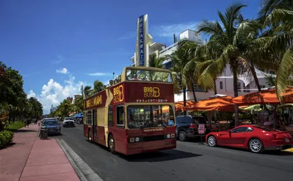 Hop-on hop-off sightseeing tour 24-hour pass