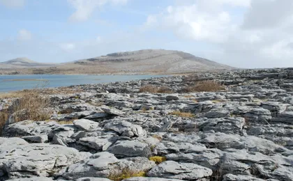 Cliffs of Moher and Galway Atlantic adventure tour from Dublin