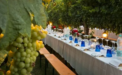 San Gimignano Wine Tasting & Tuscan Dinner at a Local Winery