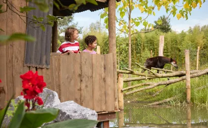 ZooParc Overloon entrance ticket