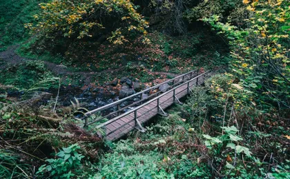 Afternoon half-day to Multnomah Falls and River Gorge Waterfalls