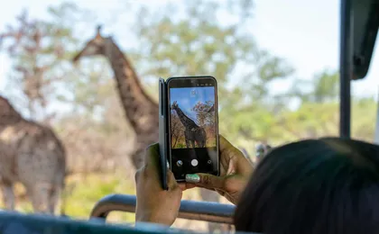 Fathala Wildlife Reserve full-day tour
