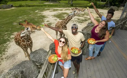 Zoo Miami general admission tickets or food package