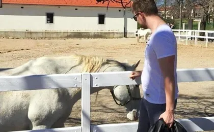 Small group tour to Lipica Stud Farm and Postojna Caves from Zagreb