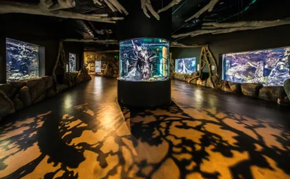 Cairns Aquarium admission ticket