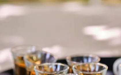 Small-group champagne tasting class and lunch near Epernay