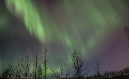 Northern Lights Classic Tour from Akureyri