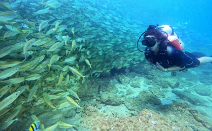 Fujairah two dives for certified divers with Dubai transfer