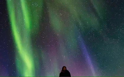 Blue Lagoon admission and Northern Lights guided tour in Reykjavik