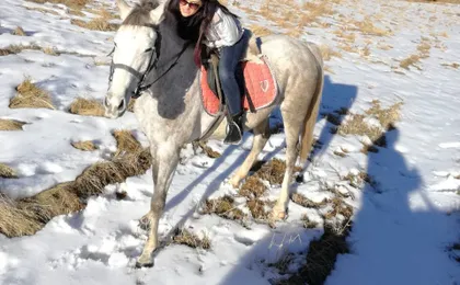 Private Horse Riding near Rhodope Mountains from Plovdiv