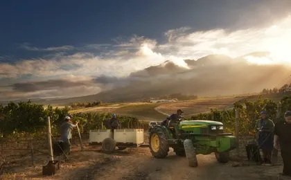Wineland region visit with wine tasting and Franschhoek Tramway