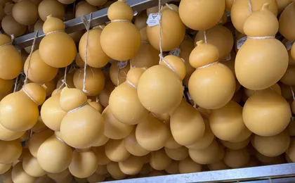 Visit to Masseria Cappella with mozzarella and bread making workshop