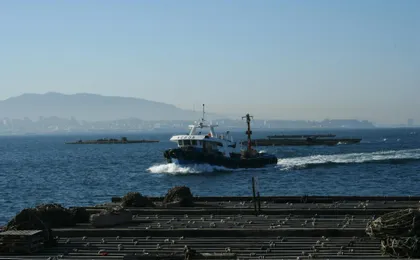 Vigo estuary tour with mussel tasting and wine from Cangas