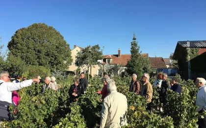 Domaine Clotilde Davenne winery tour in English and Chablis tasting