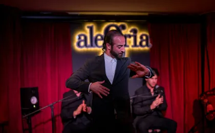1-hour flamenco show at Malaga's Alegría