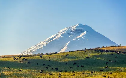 Cotopaxi National Park full-day guided tour