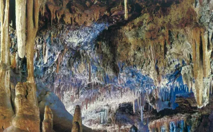 Entrance ticket to Caves of Hams in Porto Cristo
