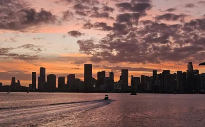 Miami sunset cruise of Biscayne Bay and millionaires' homes