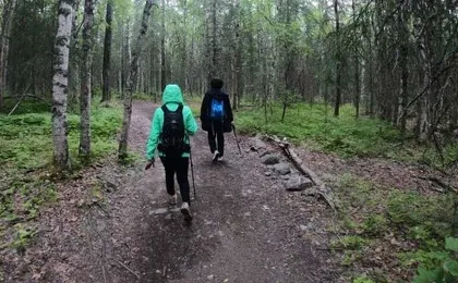 Chugach State Park summer valley and forest hike