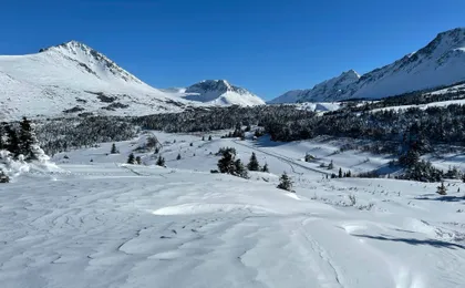 Beginners snowshoeing adventure in Anchorage