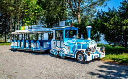 Sorrento hills Due Golfi train tour with regional food tastings