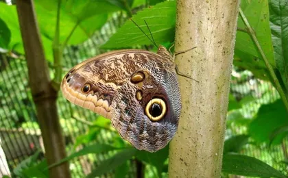 Hacienda Baru Wildlife Nature Tour from Manuel Antonio