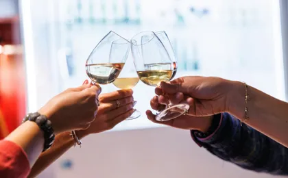 Tickets for Alsace Wine Museum in Colmar