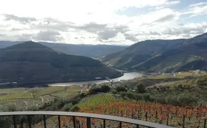 Douro Valley guided tour with wine tasting, lunch and river cruise from Porto