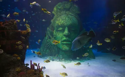 SEA LIFE Manchester entrance tickets