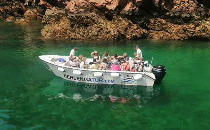 Berlenga island trip, glass-bottom boat cave tour and snorkeling