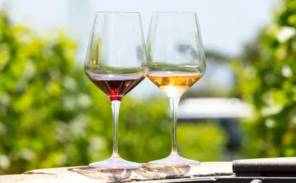Guided tour of Kos Town, Asclepeion and Zia with wine-tasting